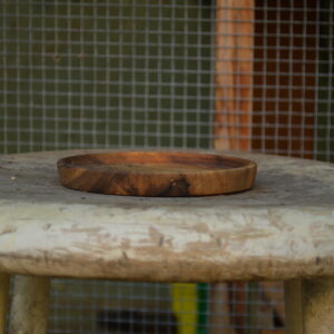 Side view of a shallow hand-crafted dish made from reclaimed Bay Area magnolia wood