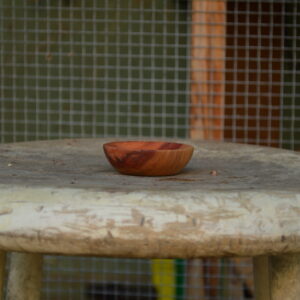 Side view of a small reclaimed carob wood bowl for rings or small items hand crafted in the Bay Area