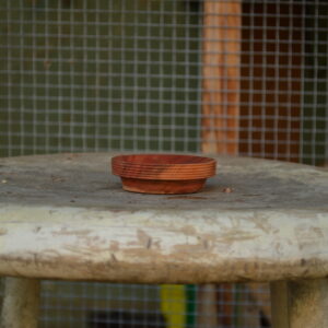 Side view of a reclaimed carob wood ring bowl with decorative horizontal lines running accenting the rim